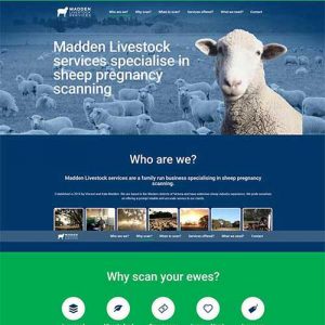 Madden Livestock Services Website Design